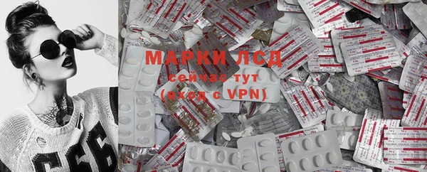 мяу мяу мука Няндома