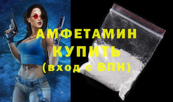 СК Новозыбков